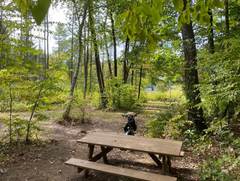 Kenneth Dubuque Memorial State Forest, Massachusetts, USA